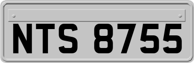 NTS8755