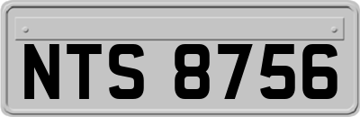 NTS8756