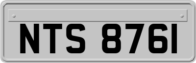 NTS8761