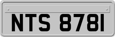 NTS8781