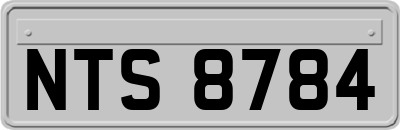 NTS8784