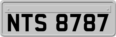 NTS8787