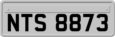 NTS8873