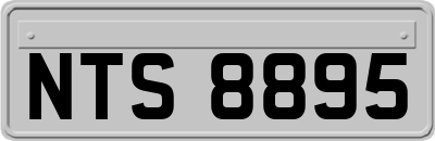 NTS8895