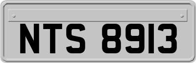 NTS8913