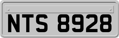 NTS8928