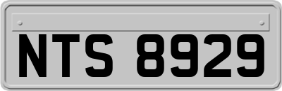 NTS8929