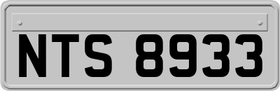 NTS8933