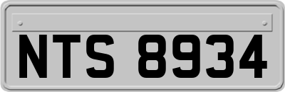 NTS8934