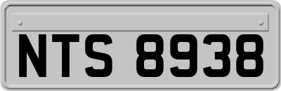 NTS8938