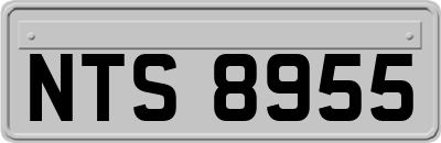 NTS8955