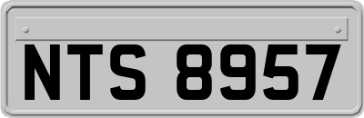 NTS8957