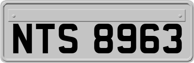 NTS8963