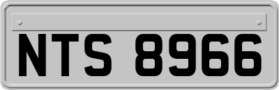 NTS8966