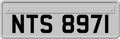 NTS8971
