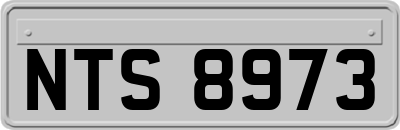 NTS8973