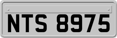 NTS8975