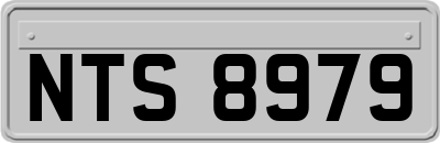NTS8979