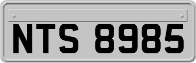 NTS8985