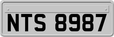 NTS8987