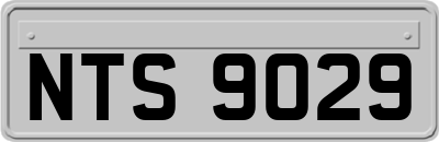 NTS9029