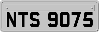 NTS9075