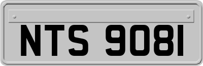 NTS9081