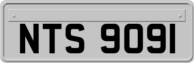 NTS9091