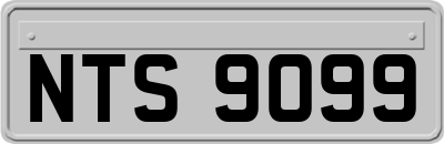 NTS9099