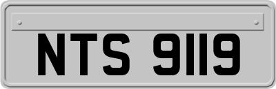 NTS9119