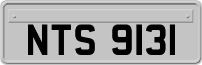 NTS9131