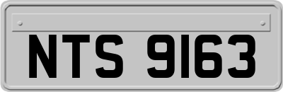 NTS9163