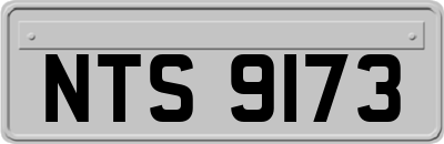 NTS9173