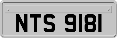 NTS9181