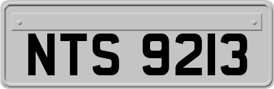 NTS9213