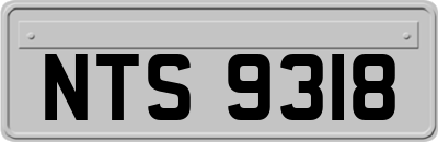 NTS9318