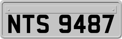 NTS9487