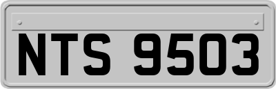 NTS9503