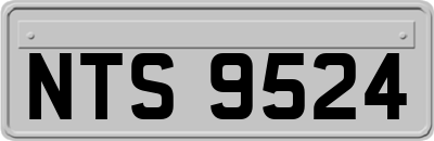 NTS9524