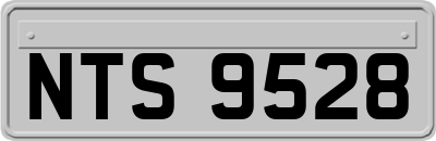 NTS9528