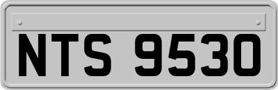 NTS9530