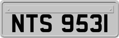 NTS9531