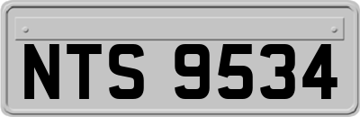 NTS9534