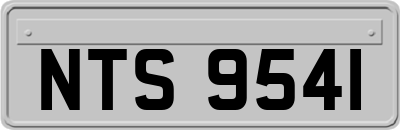 NTS9541
