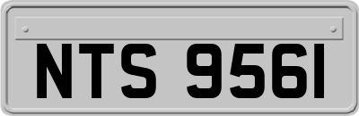 NTS9561
