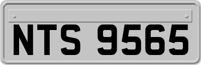 NTS9565