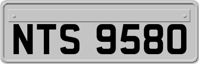 NTS9580