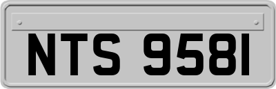 NTS9581