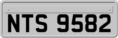 NTS9582