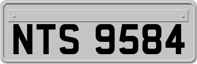 NTS9584